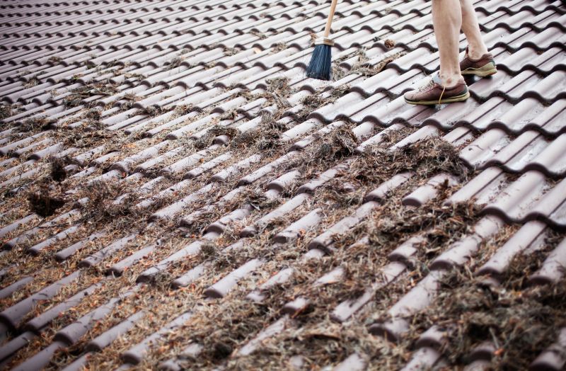 Roof Repair Or Maintenance